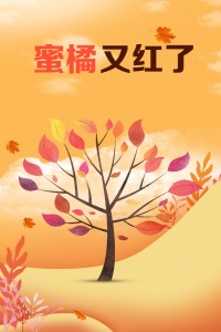 蜜橘又紅了